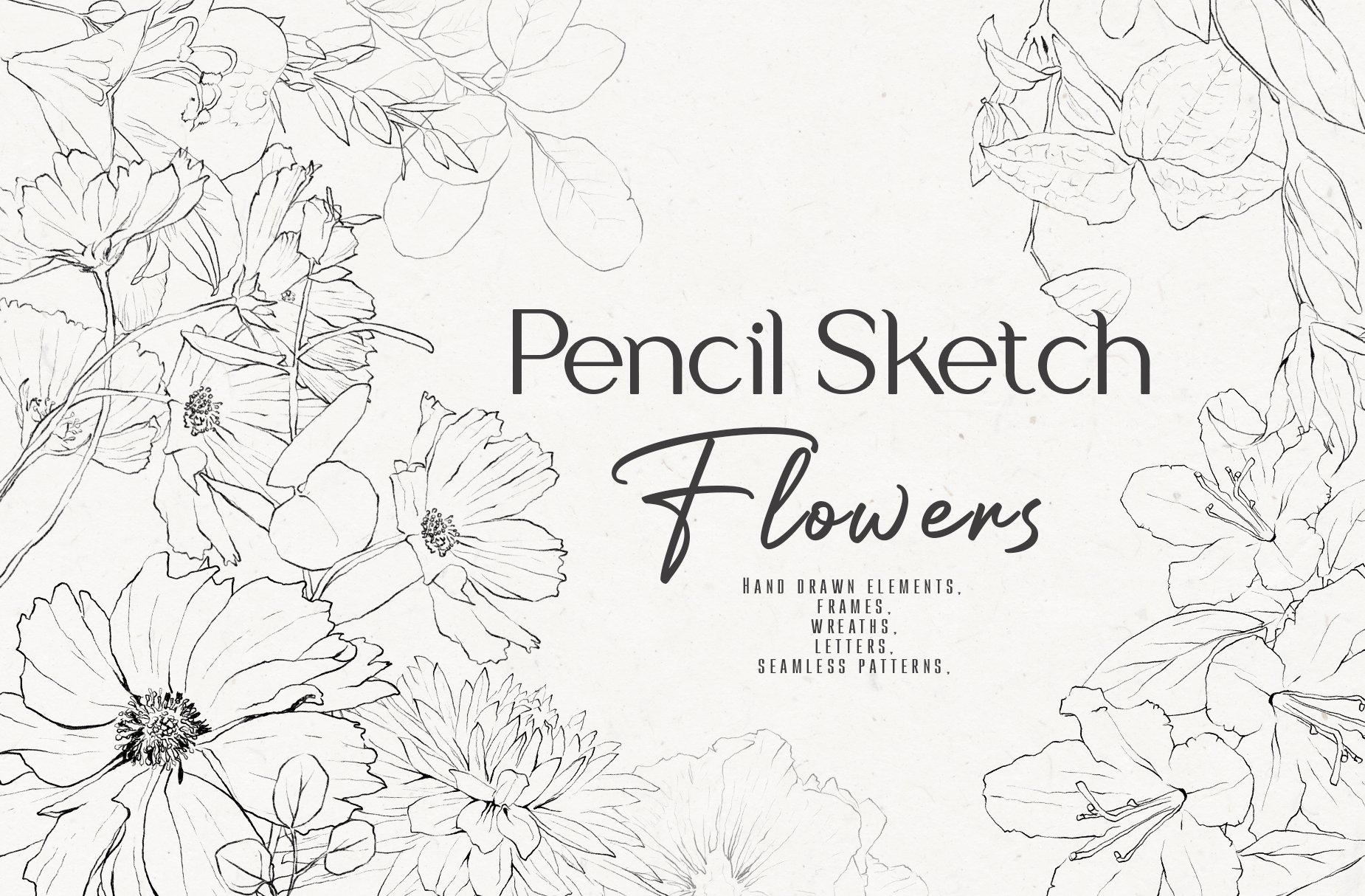 Pencil-drawn flowers cover image.