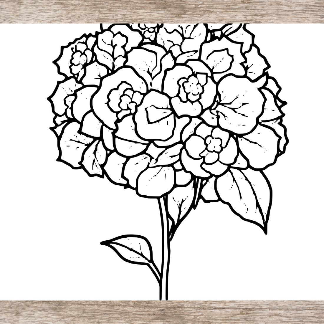 6 Flower Drawing Floral Coloring Pages For Adults (SVG and PNG) preview image.