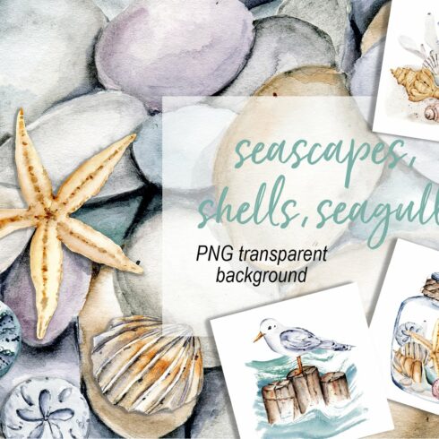 Shells, beach watercolor set. cover image.