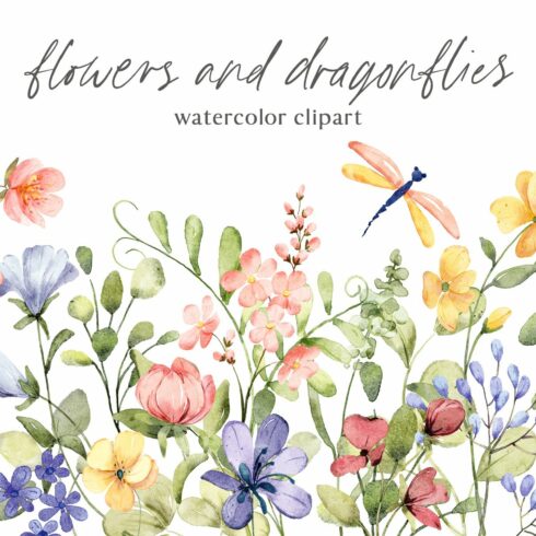 Flowers and dragonflies. cover image.