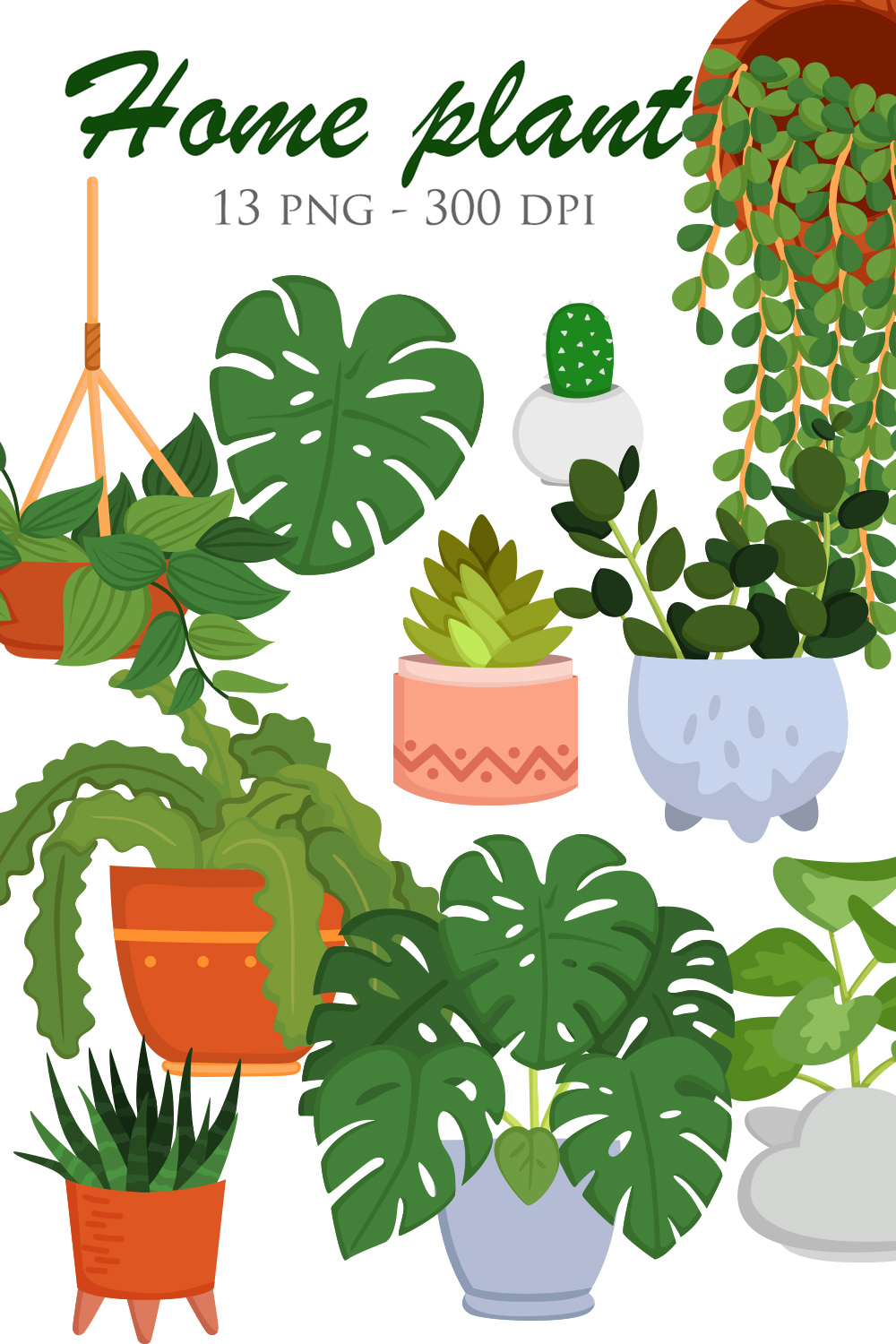 Kind Of Home Plants Leaves Indoor Nature Botanical Floral Cartoon Monstera Cactus Aloe Vera Peperomia Pothos Illustration Vector Clipart pinterest preview image.