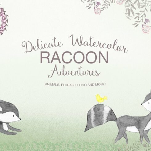 Delicate watercolor Racoon cover image.