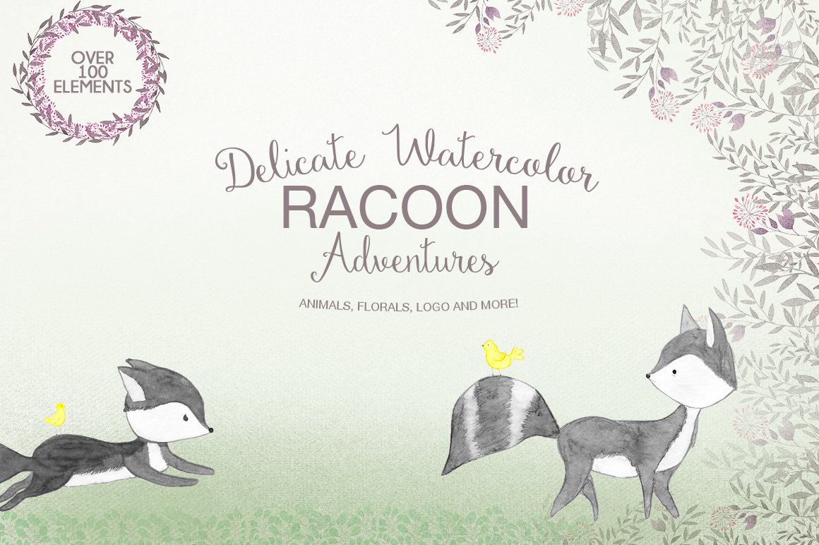 Delicate watercolor Racoon cover image.