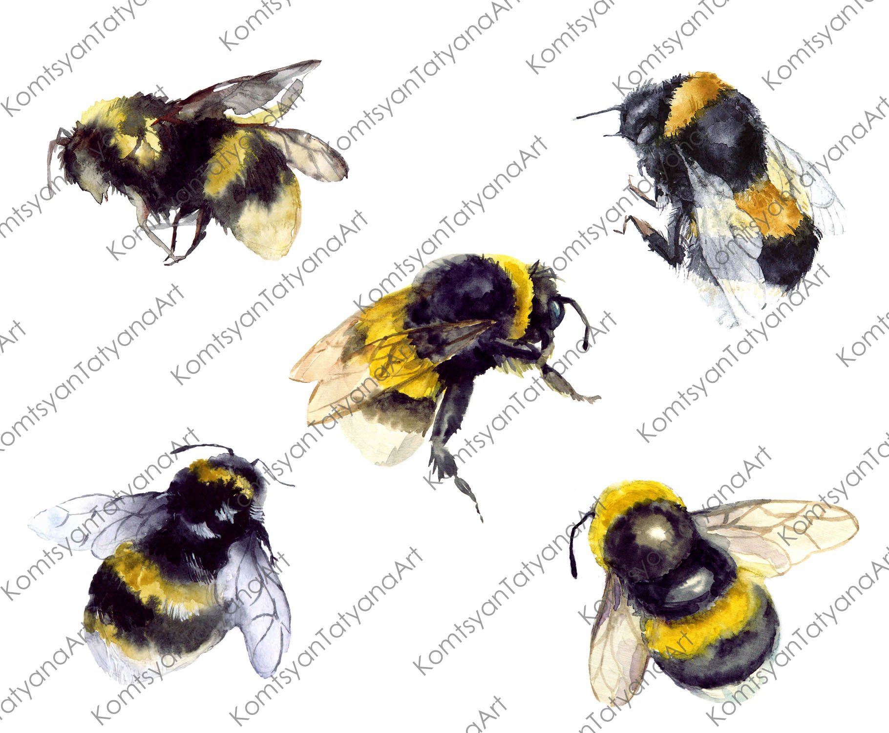 Watercolor Clipart. Bumble Bee art preview image.
