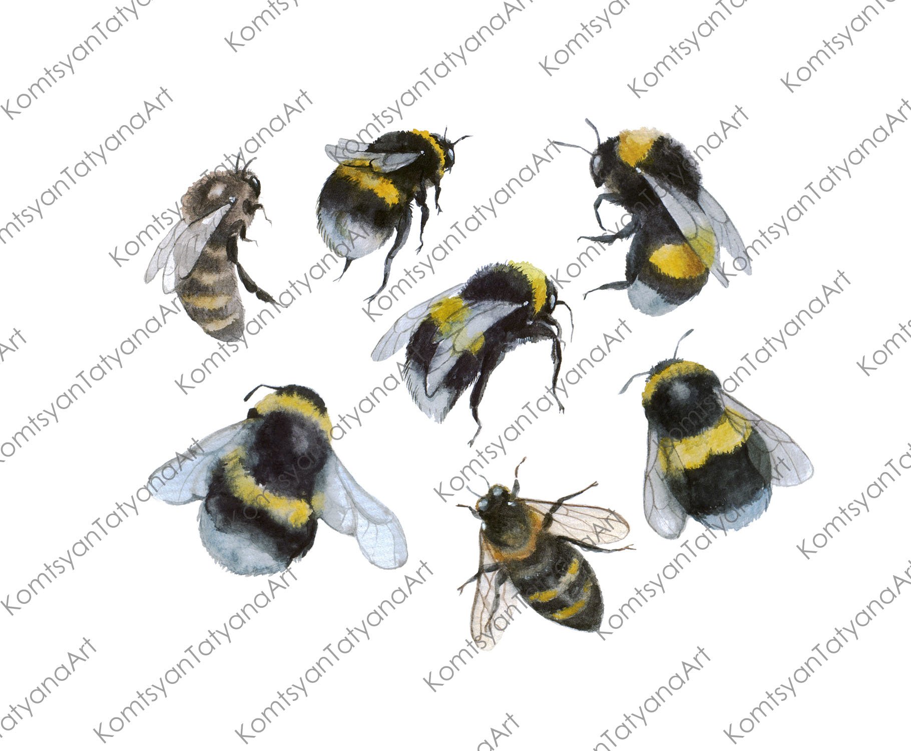 Bee clipart. Bumble bee. Watercolor preview image.