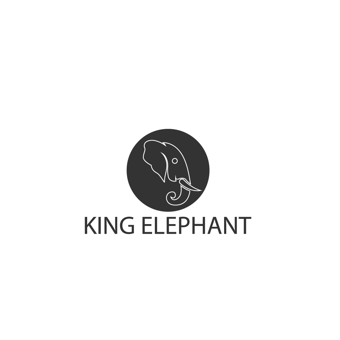 Elephant Minimal Logo cover image.