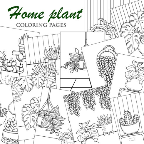 Home Plants Cartoon Indoor Floral Nature Leaves Monstera Peperomia Cactus Aloe Vera Pothos Botanical Coloring Pages for Kids and Adult cover image.