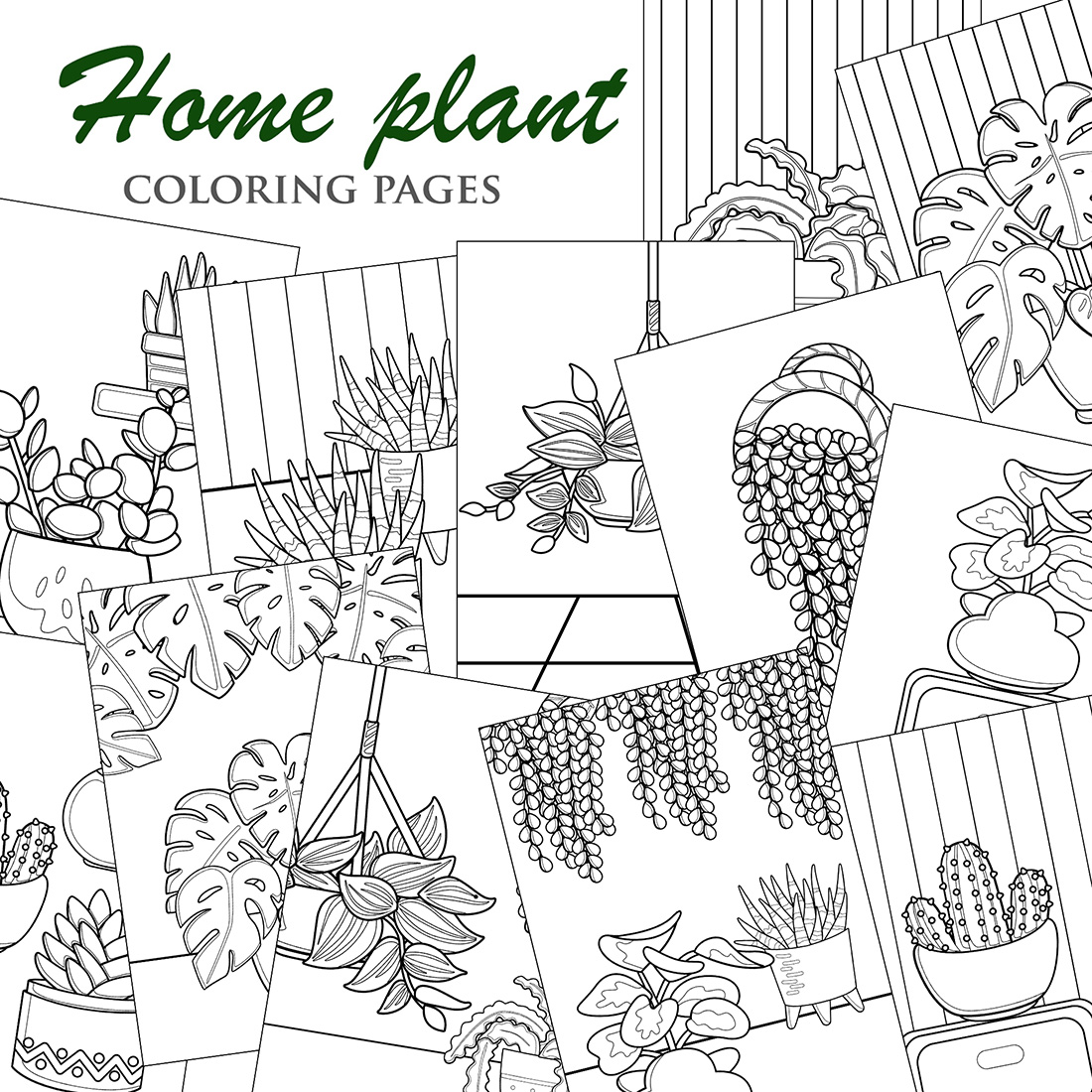 Home Plant Monstera Cactus Aloe Vera Coloring Set Kids Adult