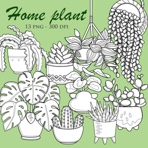 Home Plants Indoor Leaves Monstera Cactus Peperomia Asplenium Aloe Vera Pothos Nature Floral Cartoon Digital Stamp Outline cover image.