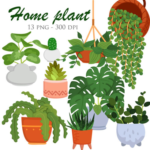 Kind Of Home Plants Leaves Indoor Nature Botanical Floral Cartoon Monstera Cactus Aloe Vera Peperomia Pothos Illustration Vector Clipart cover image.