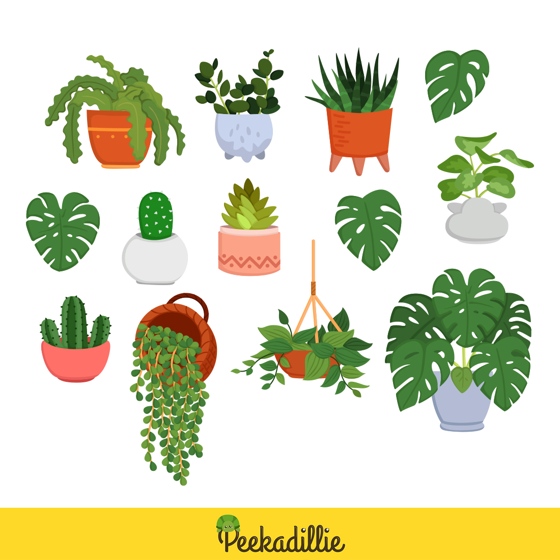 Kind Of Home Plants Leaves Indoor Nature Botanical Floral Cartoon Monstera Cactus Aloe Vera Peperomia Pothos Illustration Vector Clipart preview image.