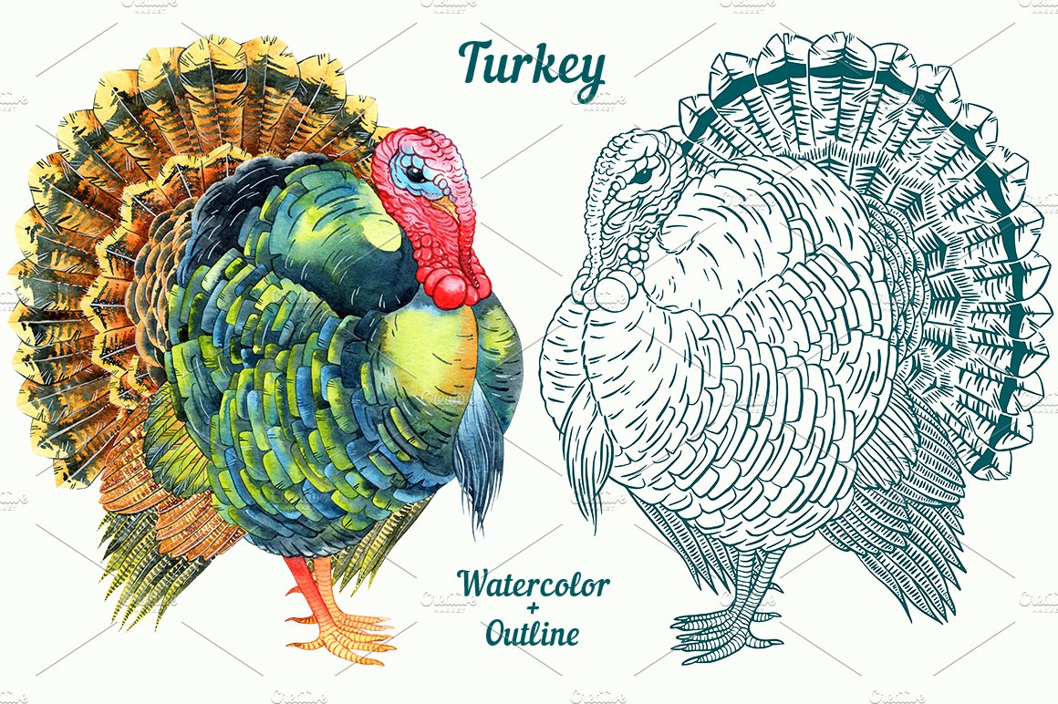 Turkey cover image.