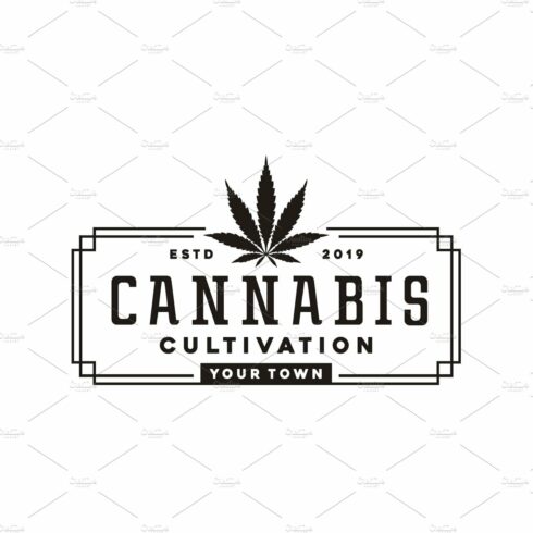 Vintage cannabis rectangle logo cover image.