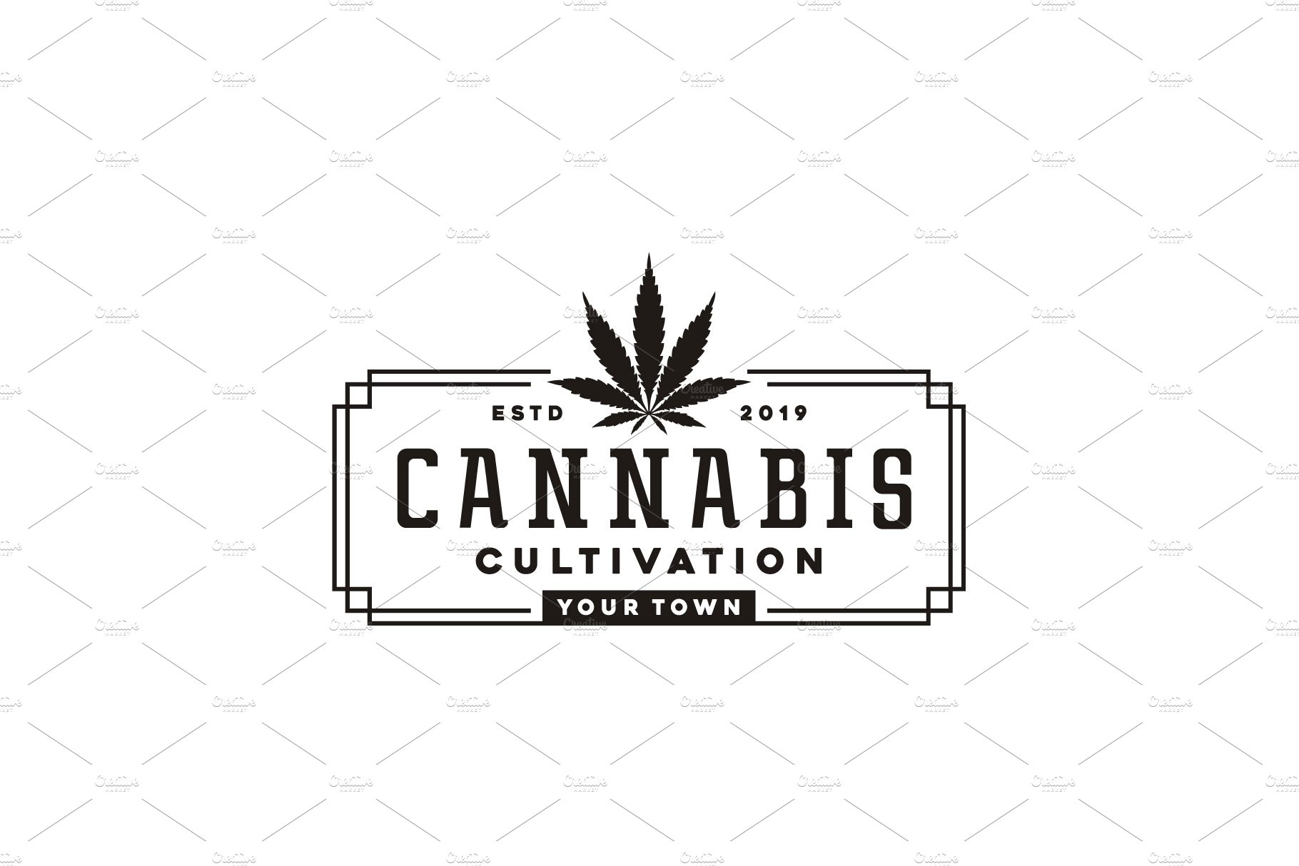 Vintage cannabis rectangle logo cover image.