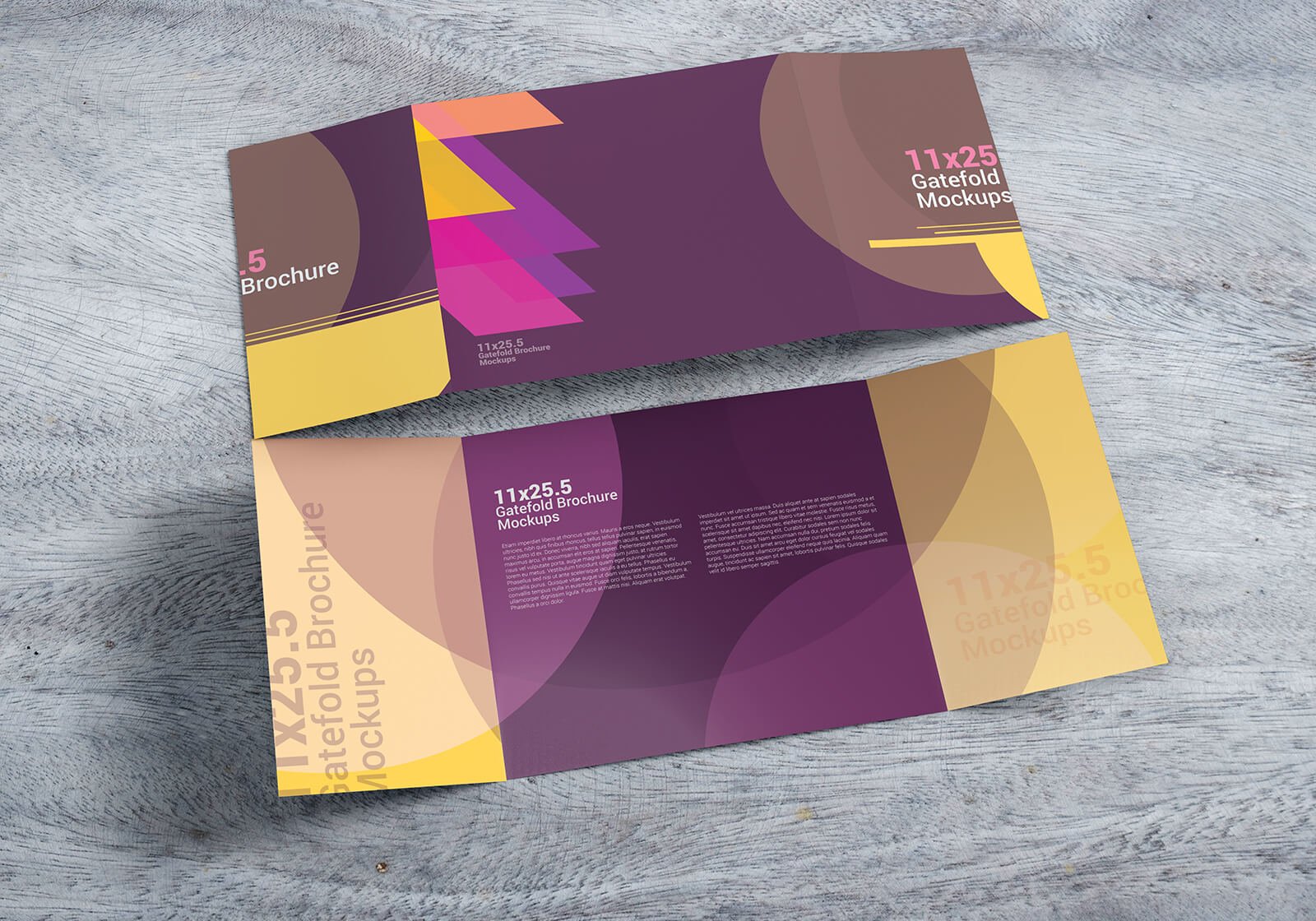 11x25.5 gatefold brochure mockups 05 667