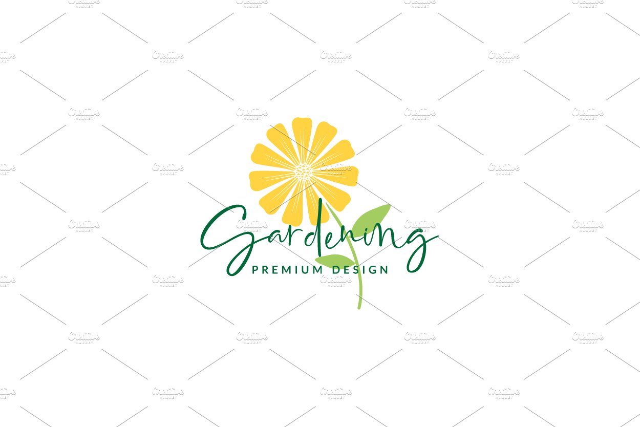 colorful yellow flower daisy logo cover image.
