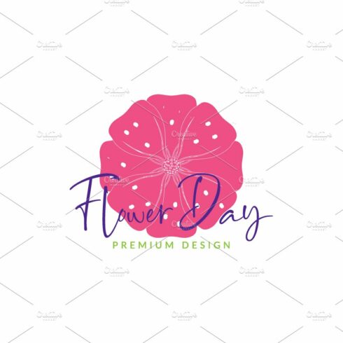 colorful pink daisy flower logo cover image.