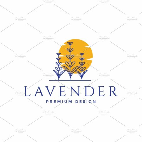 lines colorful lavender plants logo cover image.