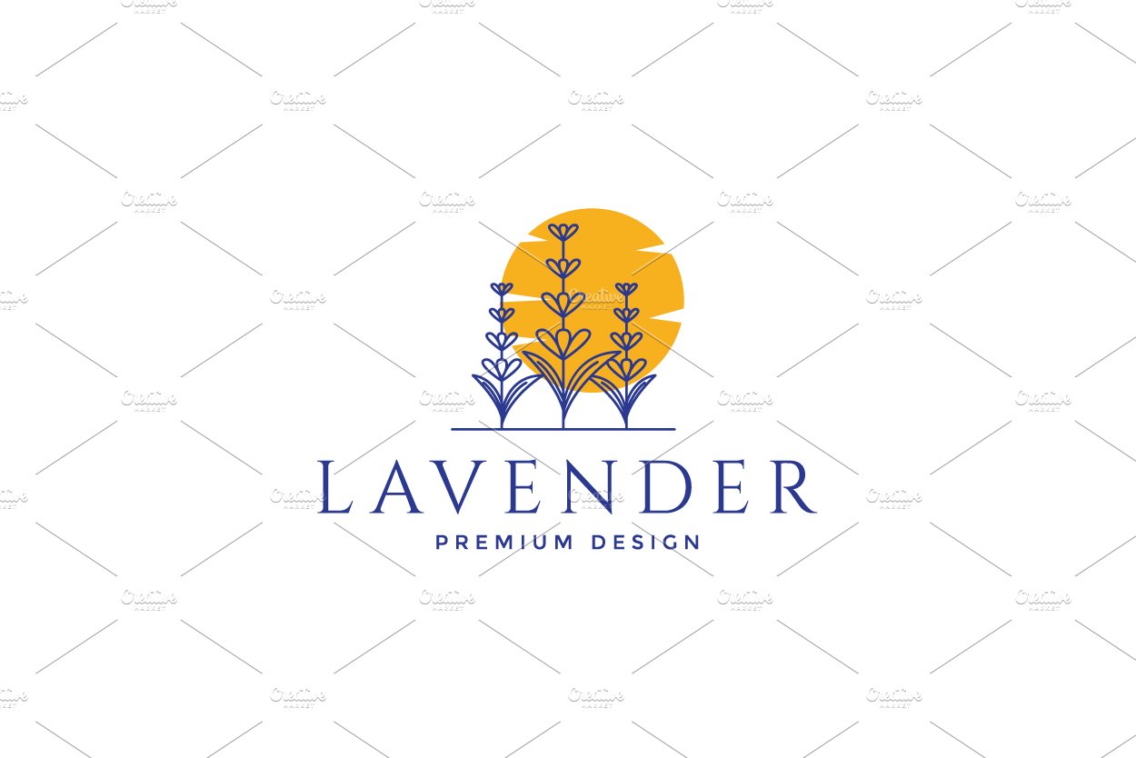 lines colorful lavender plants logo cover image.