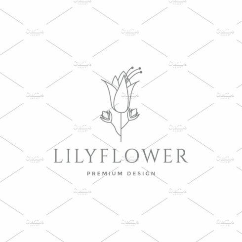 beautiful lily lines flower  logo cover image.