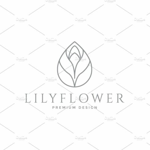 lily buds lines logo symbol vector cover image.