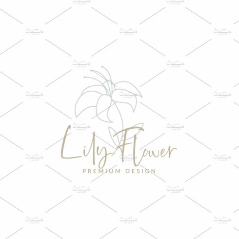 beautiful lily lines flower  logo sy cover image.