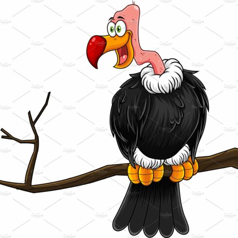 Condor Or Vulture Cartoon Character cover image.