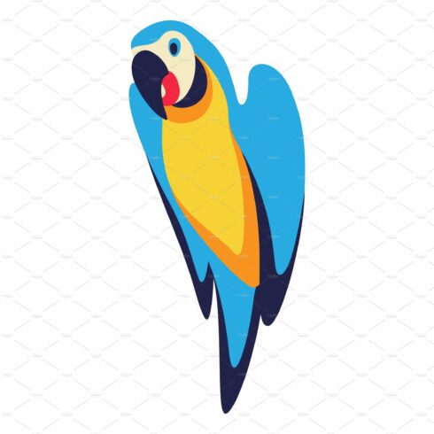 Illustration of macaw parrot cover image.