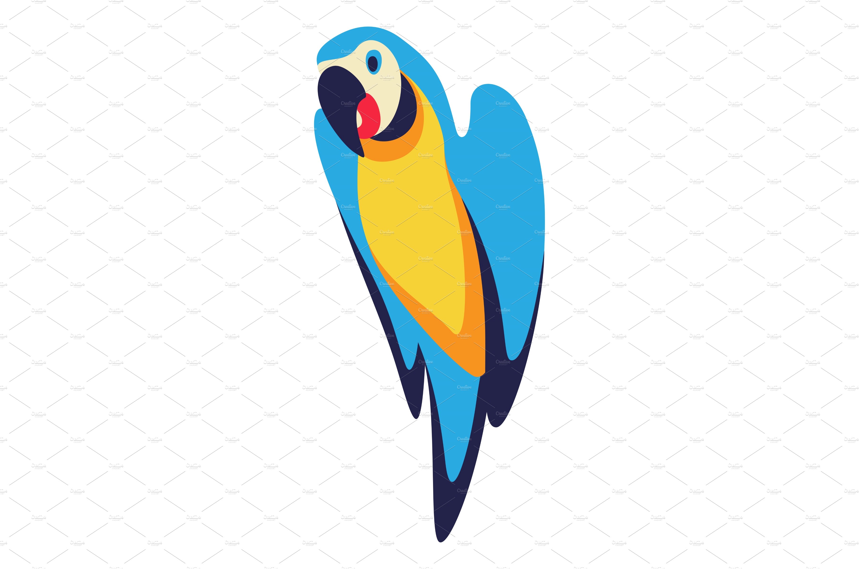 Illustration of macaw parrot cover image.