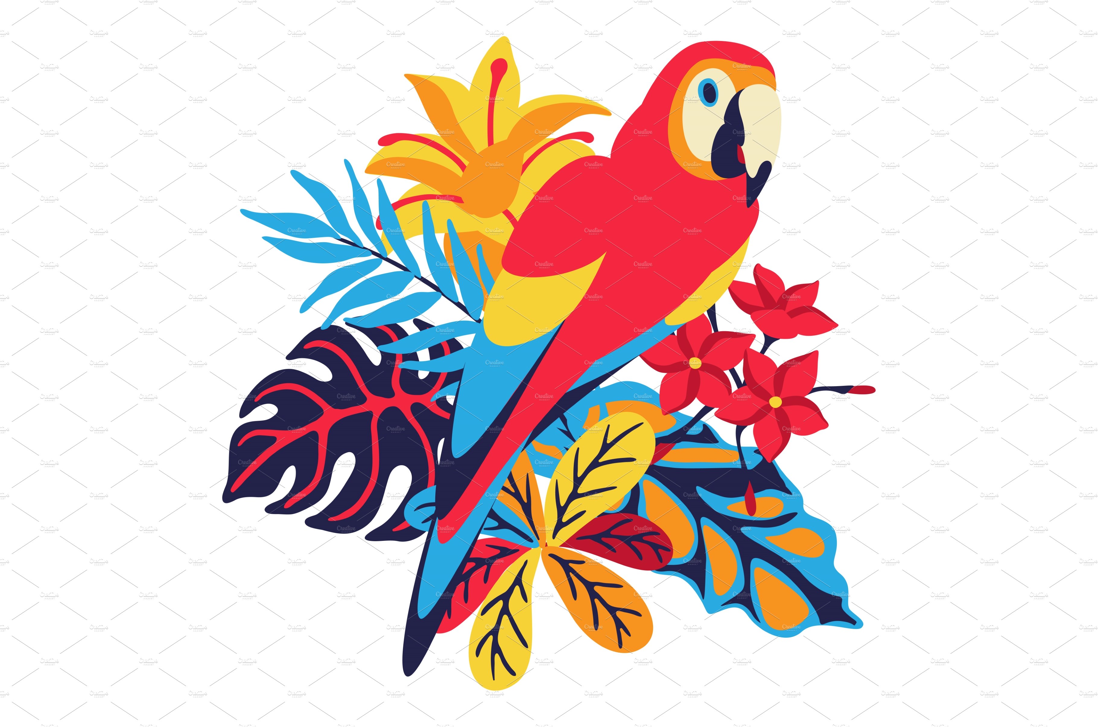 Illustration of macaw parrot with cover image.