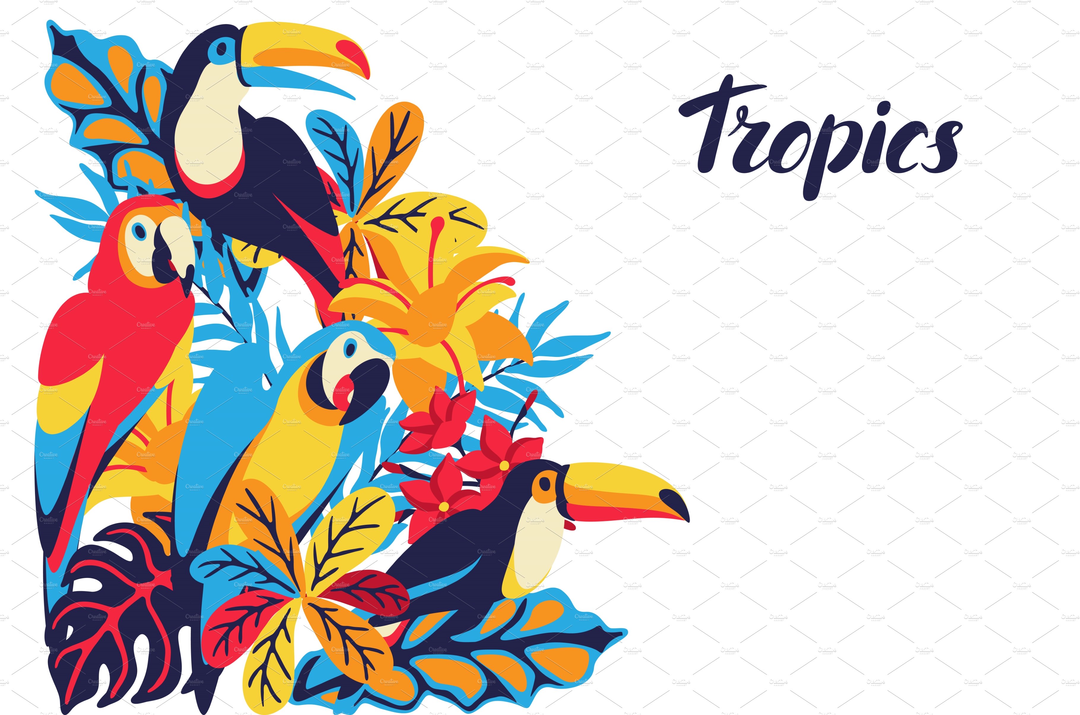 Card with macaw parrot, toucan and cover image.