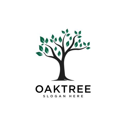 oak tree logo vector cover image.