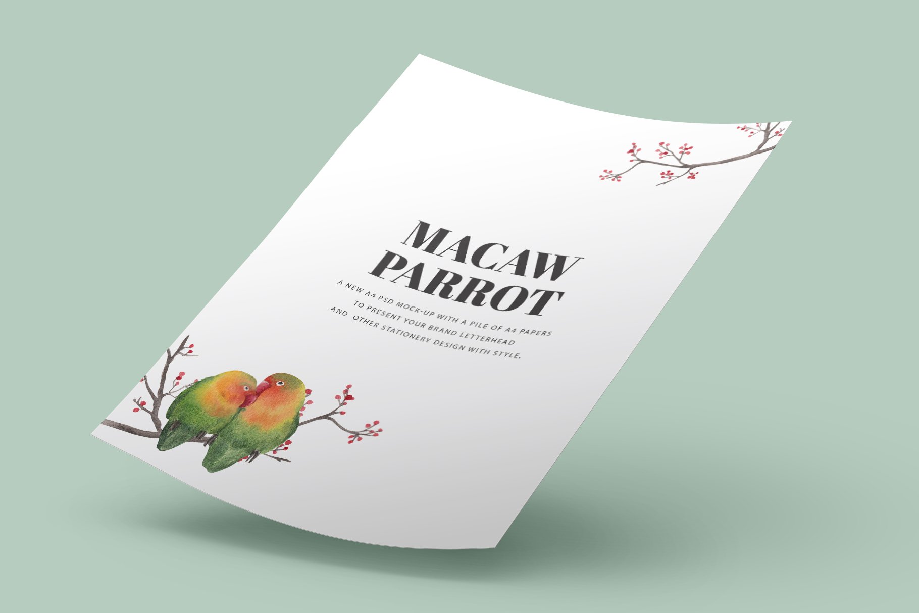 12 macaw parrot presentation mockup 06 63