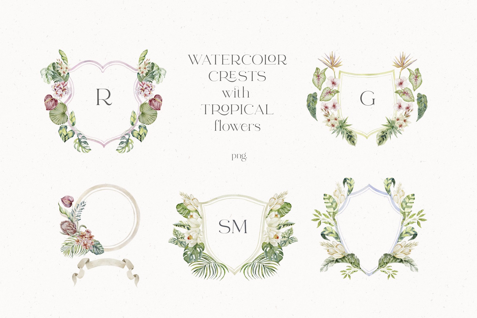 Cherry Blossom Wedding Vector PNG Images, Monogram Watercolor