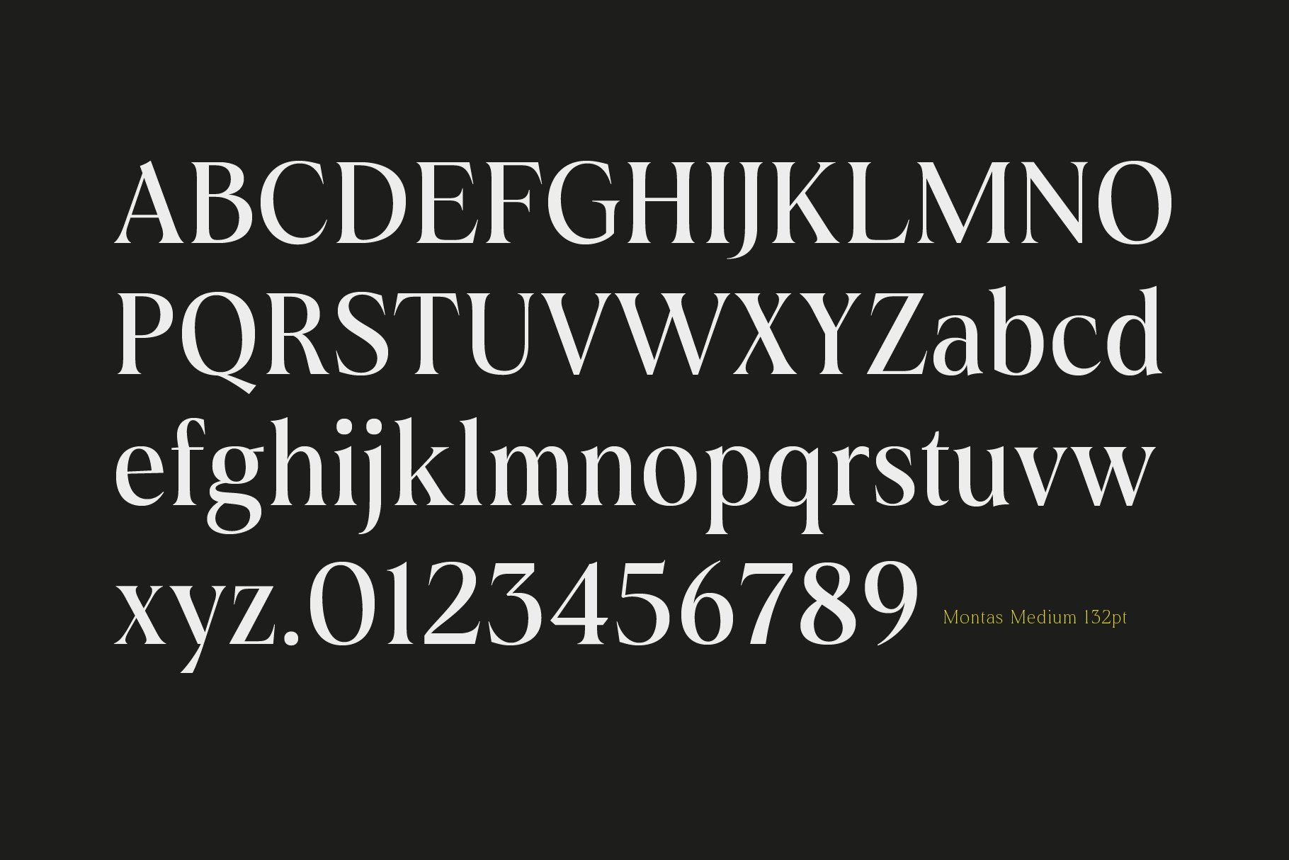 13 montas modern display serif 498