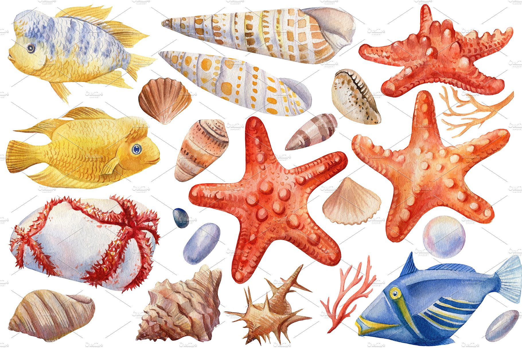 Seashells Fish Sea Watercolor: Over 936 Royalty-Free Licensable Stock  Vectors & Vector Art