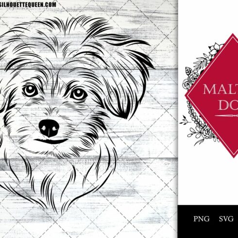Maltese vector cut files cover image.
