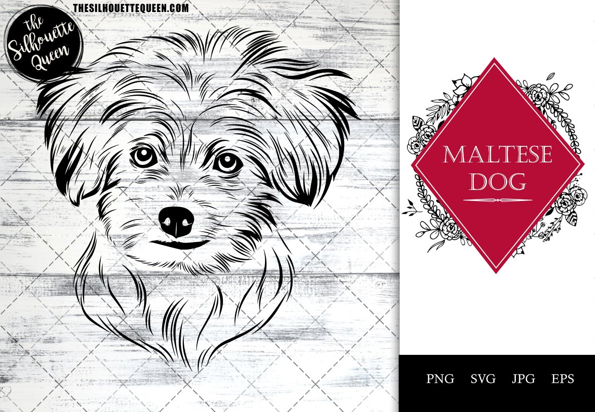 Maltese vector cut files cover image.