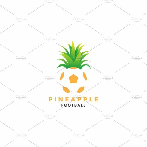 colorful flat ball with pineapple cover image.