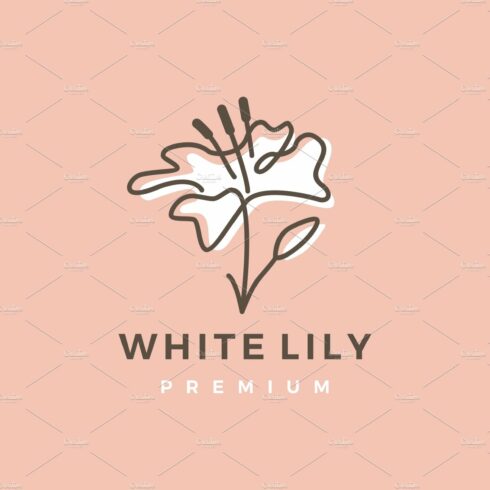 white lily aesthetic sophisticated cover image.
