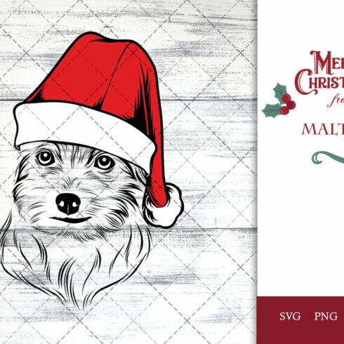 Maltese Dog in Santa Hat cover image.
