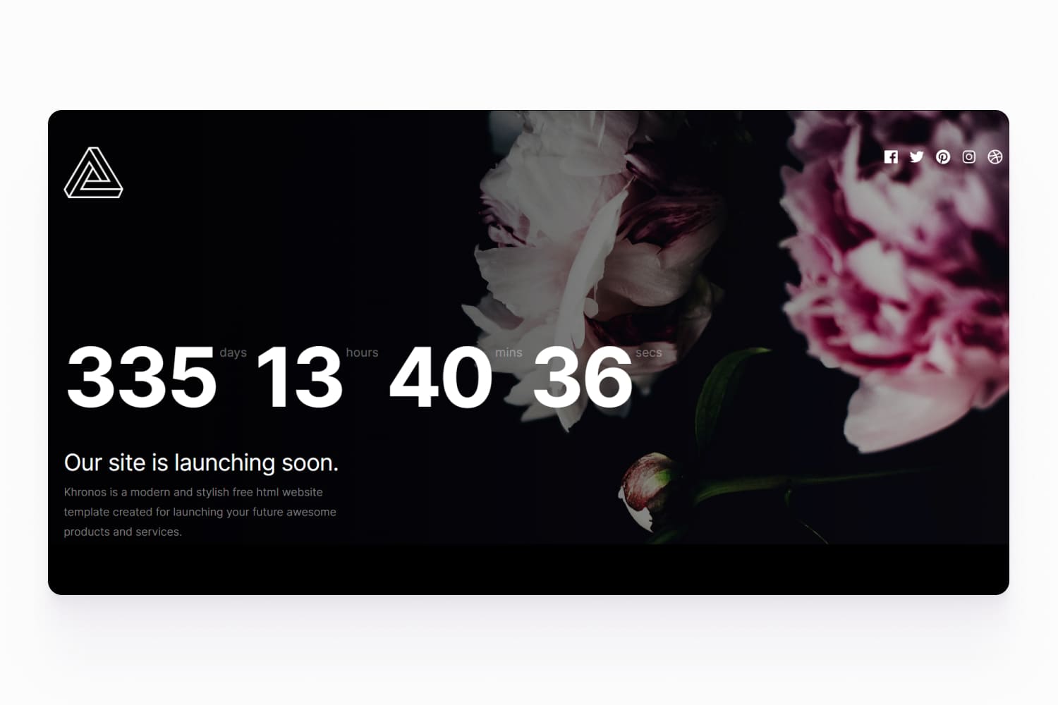 Website page screenshot with countdown to launch and photo of roses on black background.