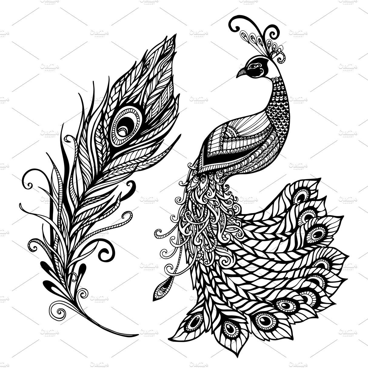 Peacock feather design black print cover image.