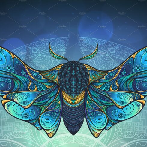 Mystic Moth vector illustration. cover image.