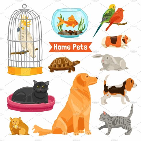 Big and small home pets set cover image.