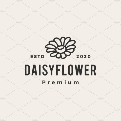 daisy flower hipster vintage logo cover image.