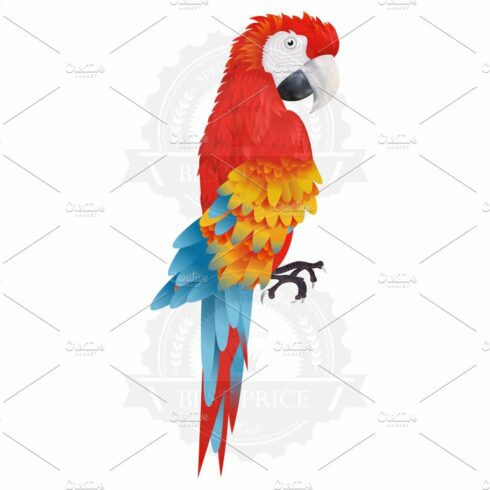 A bright macaw parrot cover image.