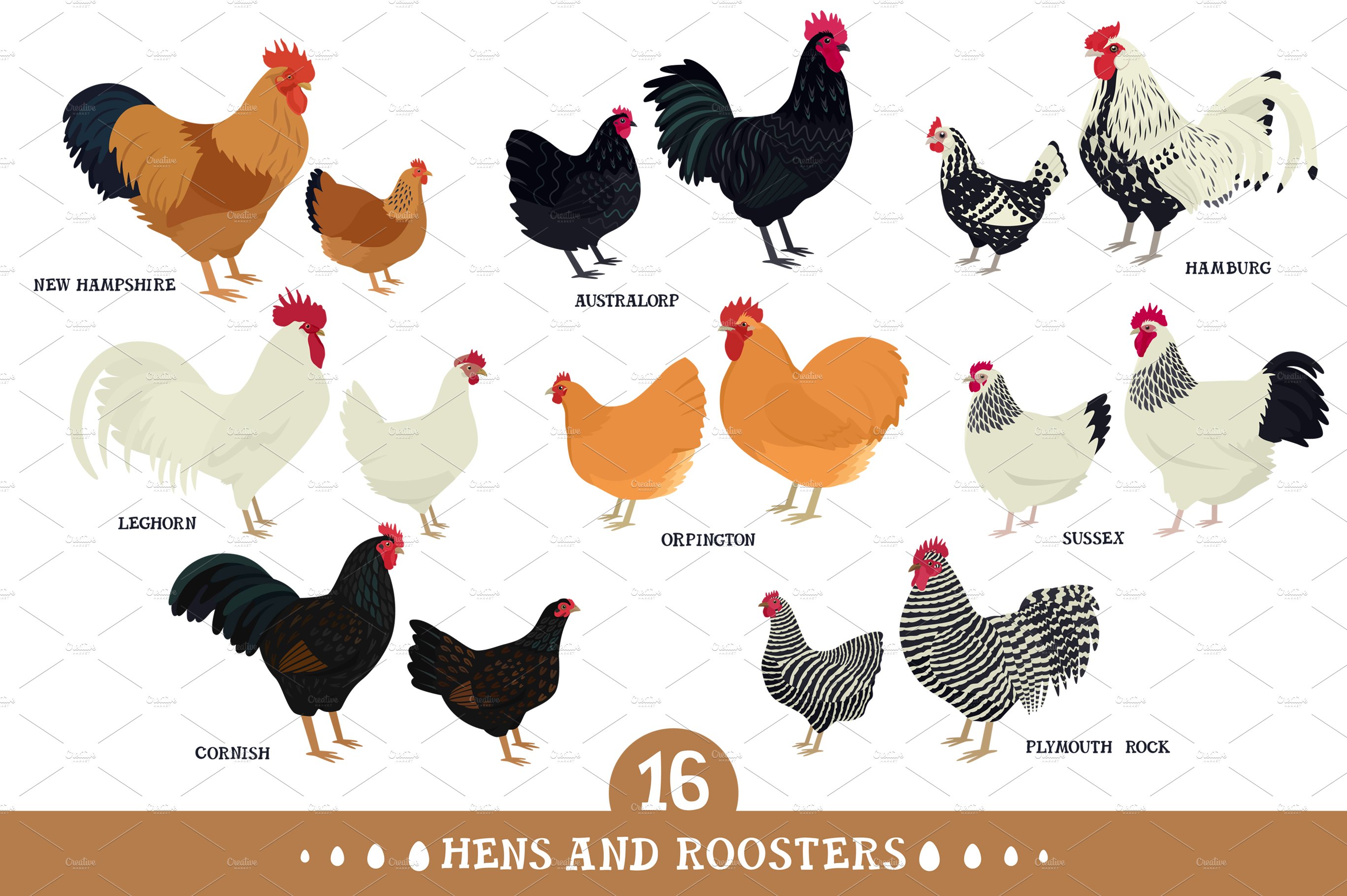 Hens and Roosters cover image.