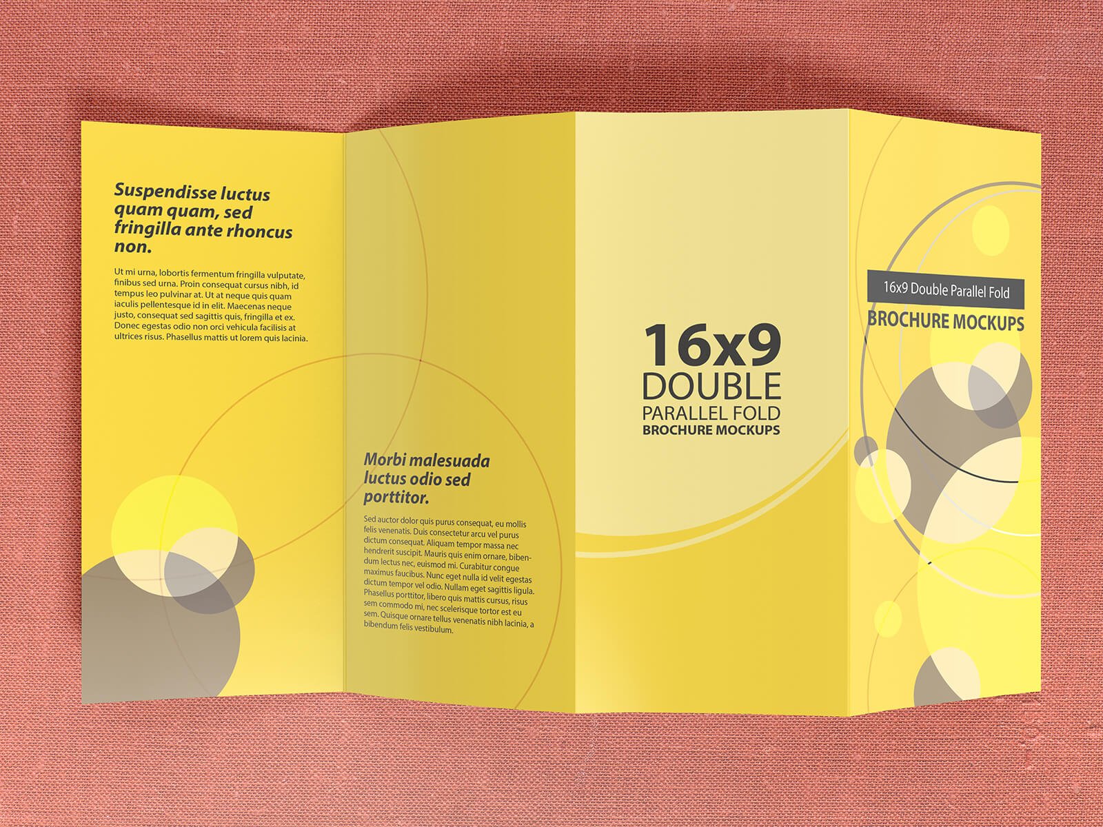 16x9 double parallel fold brochure mockups 04 277