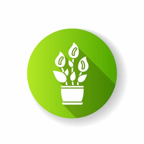 Peace lily green flat design icon cover image.